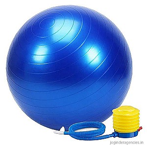Gym Ball 55 Cm